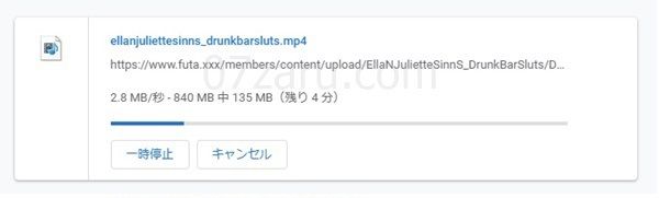 futa.xxxの動画ダウンロード方法5
