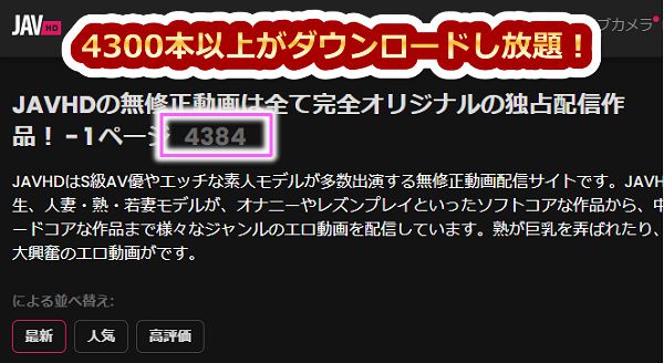 javhdでは2900本以上の動画がダウンロードできる
