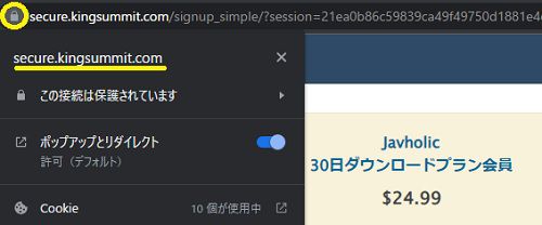 Javholicの決済ページはSSL化されている