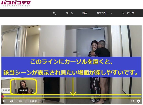 パコパコママのストリーミング再生方法5