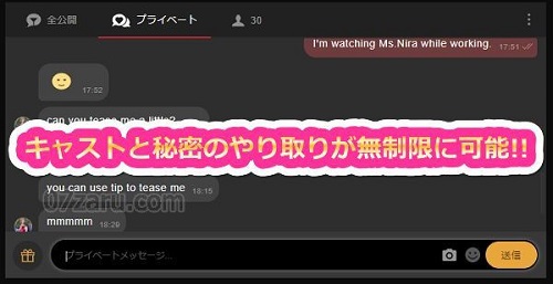 stripchatのアルティメット会員になるとプライベートメッセージが無制限に送れる