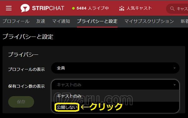 Stripchat�ŕۗL�R�C�������\���ɂ���菇2